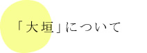 「大垣」について